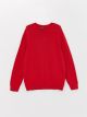 Crew Neck Basic Long Sleeve Boy Tricot Sweater