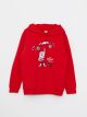 Hooded Printed Long Sleeve Boy Sweatshirt