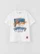 Comfortable Fit Crew Neck Printed Boys T-Shirt