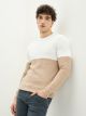 Crew Neck Long Sleeve Men's Tricot Sweater with Color Block