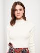 Turtle Neck Regular Long Sleeve Women's Tricot Sweater