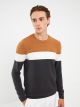 Crew Neck Long Sleeve Men's Tricot Sweater with Color Block