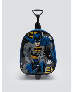 Batman Printed Boys School Bag With Squeegee