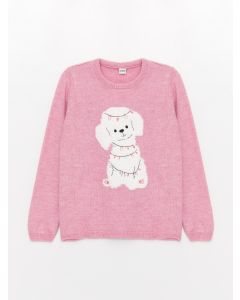 Crew Neck Patterned Long Sleeve Girl Tricot Sweater