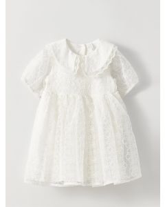 Baby Collar Short Sleeve Lace Baby Girl Dress