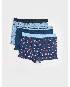 Printed Boy Boxer 3-Pack