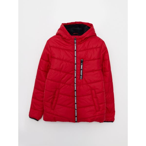 Hooded Printed Boy Puffer