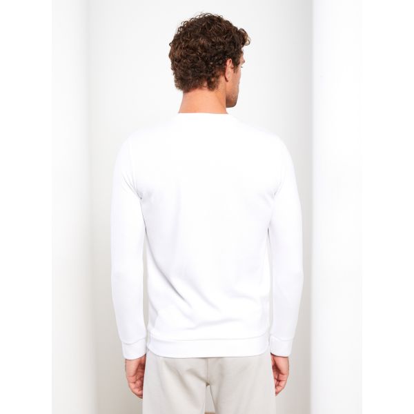 Crew Neck Long Sleeve Printed Men's Sweatshirt