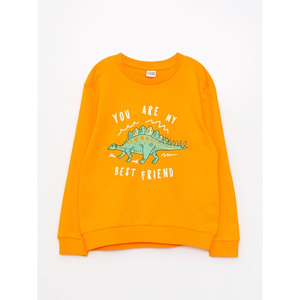 Crew Neck Printed Long Sleeve Boy T-shirt